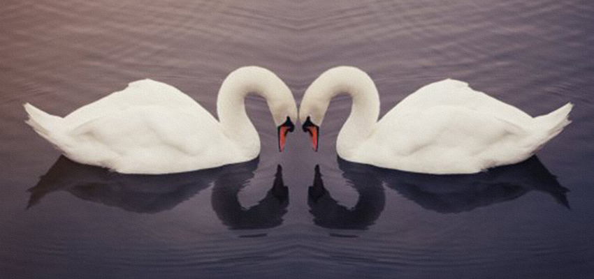 Προϋπόθεση για την αγάπη