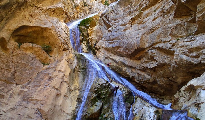 17 gorgopotamos