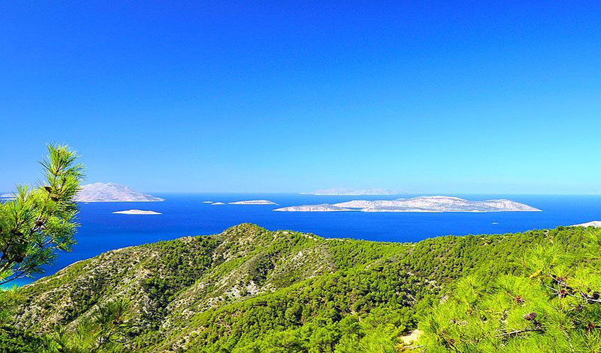 Ρήνεια