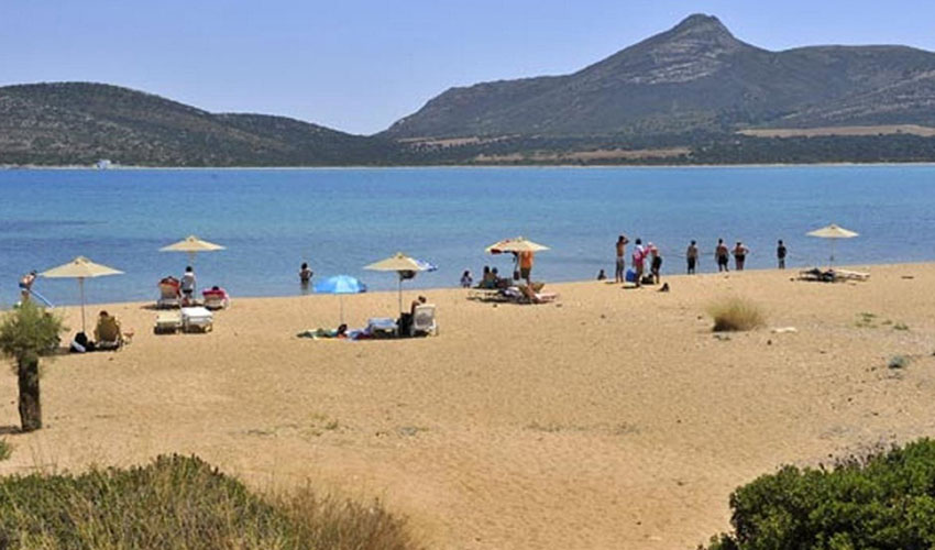 Δεσποτικό