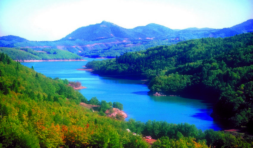 Καρδίτσα