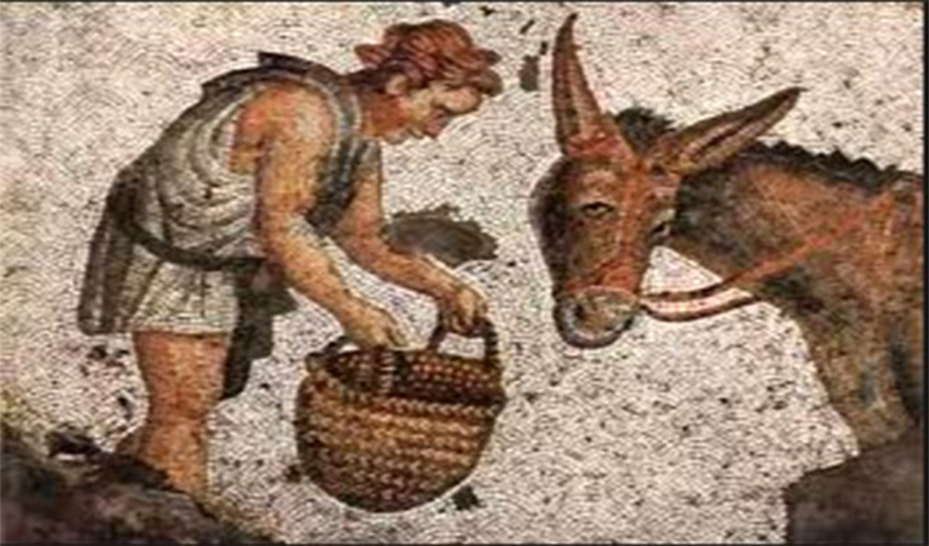 Πτωχοπρόδρομος